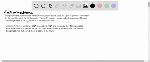 what-would-be-the-likely-effect-of-a-mutation-that-would-prevent-sigma-from-dissociating-from-the-2-56277