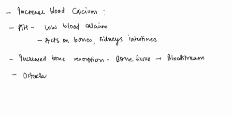 07-drag-each-calcitonin-actnvity-osleoblast-label-into-the-incrcases-resortion-increased-bone-calcitnol-proper-lood-position-cium-aciivily-osteoclast-paoatorid-order-identify-the-outcome-dec-22036