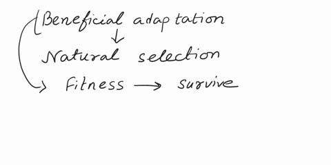 why-are-beneficial-adaptations-more-likely-to-be-passed-on-to-offspring-05372