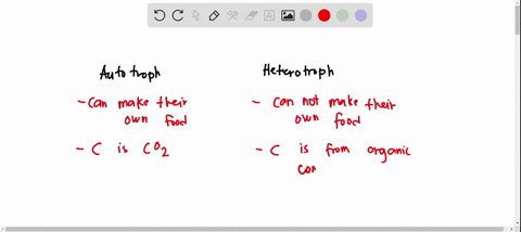 which-of-the-following-statements-is-a-correct-distinction-between-autotrophs-and-heterotrophs-a-a-2-04113