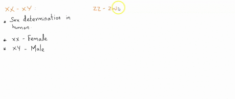 how-does-sex-determination-in-the-xx-xy-system-differ-from-sex-determination-in-the-zz-zw-system-2-08672