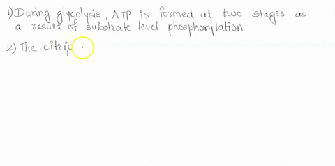 substrate-level-phosphorylation-a-generates-atp-during-glycolysis-b-generates-atp-during-the-citric-acid-cycle-c-generates-atp-at-the-end-of-the-electron-transport-chain-d-a-and-b-generates-67396