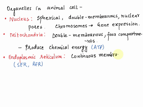 describe-the-structure-and-functions-of-various-organelles-in-a-mature-animal-cell-10052