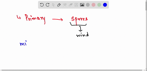 1-whats-the-primary-way-that-fungi-spread-and-reproduce-on-earth-2-whats-the-role-of-mycorrhizae-in-plants-what-kind-of-relationship-is-this-3-what-are-the-three-main-substances-that-fungi-a-56306