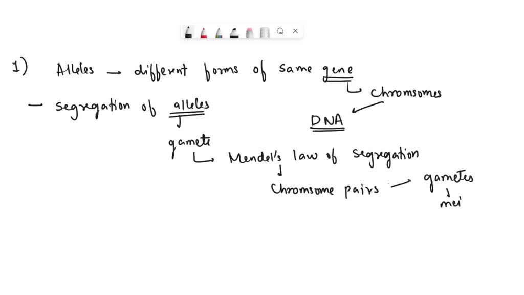 VIDEO solution: 2. Explain the various theories that explain basic ...