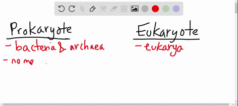 how-can-you-determine-if-the-organism-is-a-prokaryote-or-eukaryote