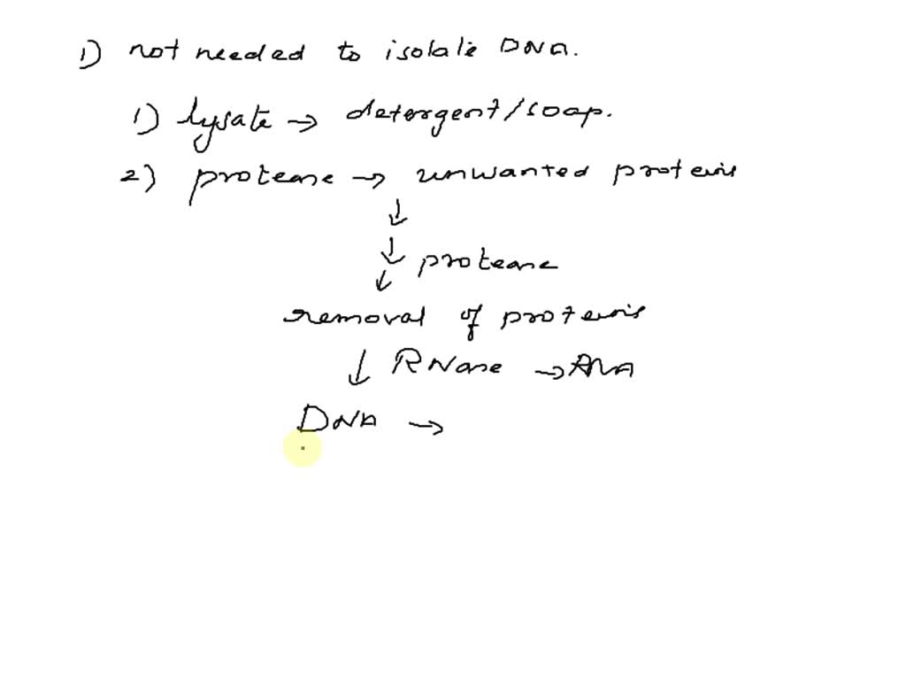 SOLVED Question 2 (1 point) Which of the following is NOT needed to