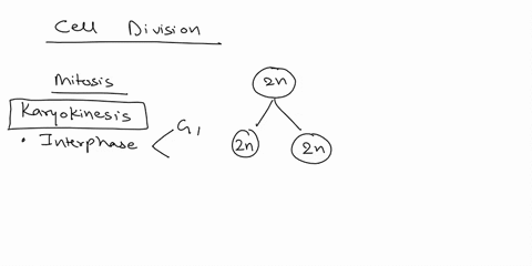 which-of-the-following-sequences-reflects-the-correct-order-of-events-in-mitosis-a-telophase-anaphas-61847