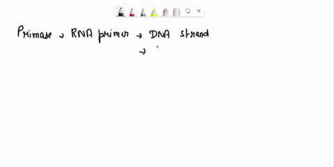 name-the-enzyme-that-creates-a-5-10-nucleotide-strand-of-rna-complementary-to-a-dna-strand-to-initiate-dna-replication-dna-ligase-dna-polymerase-helicase-primase-dna-polymerase-iii-topoisome-31619