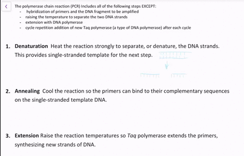 question-38-the-polymerase-chain-reaction-pcr-includes-all-of-the-following-steps-except-hybridization-of-primers-and-the-dna-fragment-to-be-amplified-ralsing-the-temperature-t0-separate-the-66334