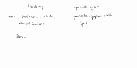 describe-the-role-of-the-circulatory-and-lymphatic-systems-in-distributing-nutrients-to-tissues-64214