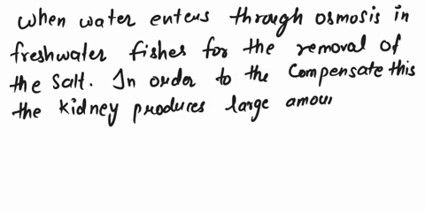 which-type-of-animal-is-most-likely-to-produce-large-amounts-of-very-dilute-low-concentration-urine-afreshwater-fish-bsaltwater-bony-fish-csaltwater-shark-dterrestrial-animal-09174