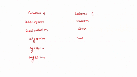 learning-task-1-direction-match-thr-life-processes-in-column-a-with-the-specific-organ-in-column-b-coldming-task-1-direction-match-the-iife-processes-in-column-a-wth-the-specific-organ-in-co-25996
