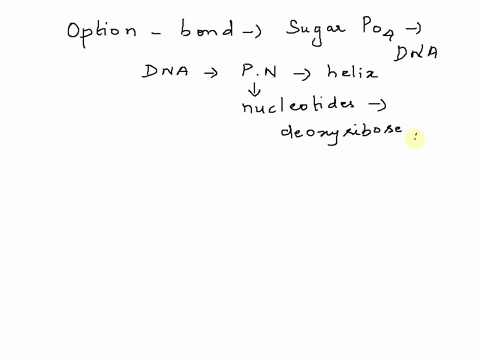 the-sugar-phosphate-backbone-of-a-dna-double-helix-is-joined-together-by_-hydrogen-bhydroxyl-phosphodiester-bonds-09953