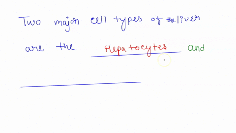 the-two-major-cell-types-of-the-liver-are-the-________-and-________-07667