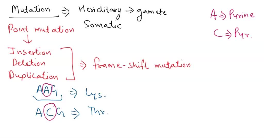 SOLVED: Identify the type of mutation in this mRNA codon Original: AAG ...
