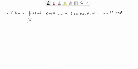 10-can-the-size-of-a-supercoiled-plasmid-dna-be-determined-by-using-stan-dard-dna-size-fragment-electrophoresed-in-parallel-2-an-unknown-dna-molecule-was-cleaved-using-several-restriction-en-28957