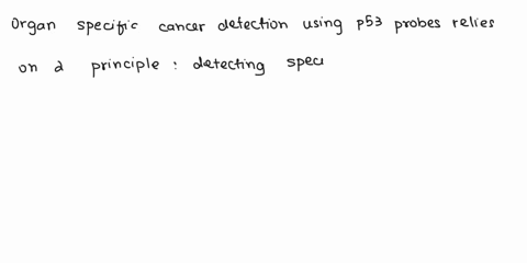 worth-2-marks-what-are-the-principles-of-organ-specific-cancer-detection-in-urine-with-the-use-of-p53-genetic-probes-82623