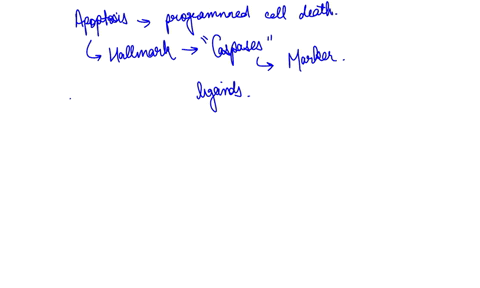 question-11-of-20-what-are-the-hallmarks-3-of-apoptosis-excluding-phosphatidylserine-exposure-that-may-be-targeted-in-different-assays-to-confirm-the-apoptotic-cell-death-question-12-of-20-h-02603