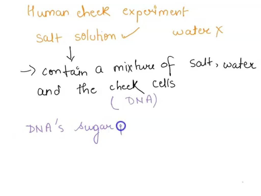 SOLVED In a human cheek experiment, why should we use salt solution