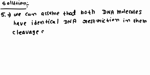 post-leb-interpretation-d-results-thefgue-0n-the-nght-shows-the-bandngpatlemns-dsdna-samples-beng-iestgaled-cs-cnme-scene-susped-1-susped-2-53-susped-54-susped-55-suspect-5-whal-ane-trying-d-81188