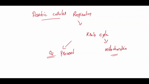 during-aerobic-cellular-respiration-molecular-oxygen-oz-is-used-for-which-of-the-following-purposes-itis-incorporated-into-intermediate-molecules-in-the-citric-acid-cycle-it-is-utilized-as-a-40147