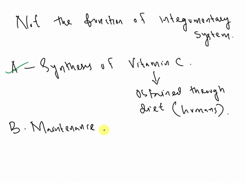 each-of-the-following-is-a-function-of-the-integumentary-system-except-a-synthesis-of-vitamin-c-b-maintenance-of-body-temperature-c-detection-of-sensations-d-protection-of-underlying-tissue-14176