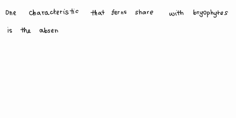 chae-ici-tieininu-um-iecicucthntien-wi-seed-bcarinp-pluns-drw-ie-plant-spceumen-list-the-sperilic-cht-cterislies-urd-nime-the-phylum-trelones-_-specilic-chiructenstics-anccimen-phuum-speciti-31226