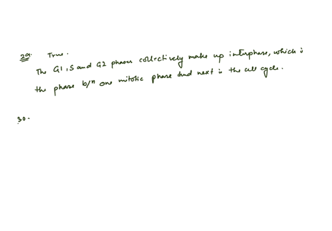 question-29-the-mathrmg_1-mathrmg_2-and-mathrms-phases-together-are-known-as-interphase-the-prefix-inter-means-between-reflecting-that-interphase-takes-place-between-one-mitotic-m-phase-and-the-next-t