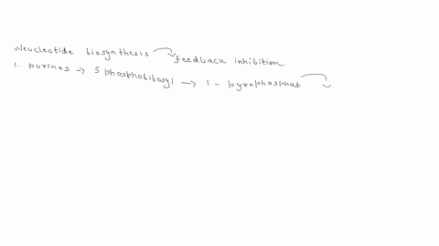 explain-how-purine-pyrimidine-biosynthesis-is-regulated-to-produce-balanced-lerels-ofall-four-nucleotides-atp-gip-utp-ctp-59729