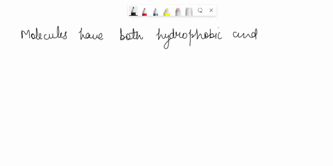 12-a-molecule-that-has-both-hydrophobic-and-hydrophilic-areas-is-called-an-phospholipid-b-amphipathic-c-carbohydrate-d-terpene-a-b-are-correct-13-the-net-movement-in-simple-diffusion-is-all-67614