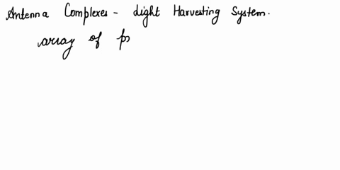 describe-how-an-antenna-complex-works-and-state-the-function-of-the-reaction-center-81343