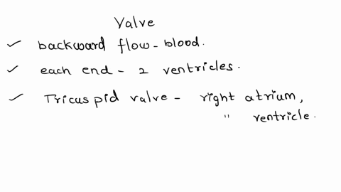 location-between-left-ventricle-and-aorta-between-right-ventricle-and-pulmonary-trunk-between-left-atrium-and-left-ventricle-between-right-atrium-and-right-ventricle-match-the-name-of-the-va-69962