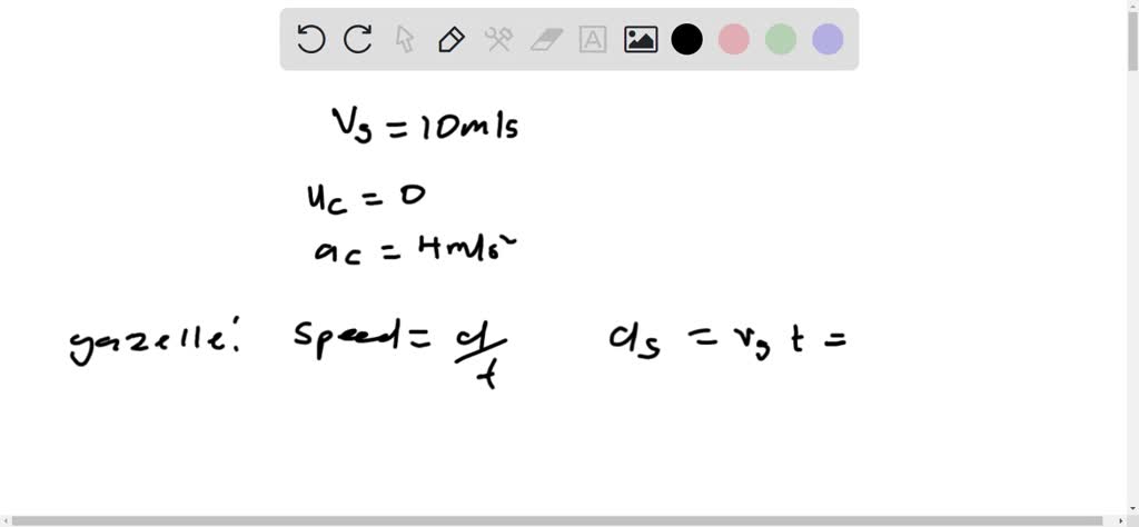 A cheetah waits in hiding behind a bush. The cheetah spots a gazelle