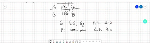 pea-plant-punnett-square-worksheet-1-yellow-seeds-are-dominant-over-green-seeds-in-pea-plants-fill-in-the-punnett-square-and-determine-the-expected-genotypic-and-phenotypic-ratios-from-cross-95632
