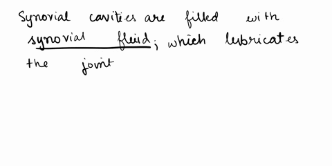 cavities-are-spaces-within-joints-select-one-a-synovial-b-nasal-c-orbital-d-oral-21828