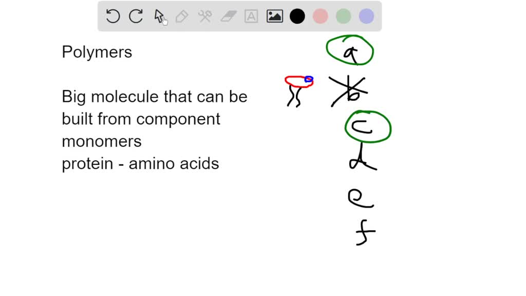 which of the following are considered polymers choose all that apply