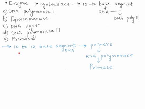 whlch-enzyme-synthesizes-10-12-base-segment-of-rna-that-is-used-by-dna-pol-ill-mullple-chclce-dna-polymerese-topoisomerese-ona-ligase-dva-polmerrsc-pritan-20955