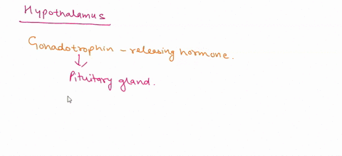 pick-one-hormone-produce-by-the-hypothalamus-state-the-hormones-function-its-target-cells-and-the-stimuli-that-causes-the-hormone-to-be-released-79427