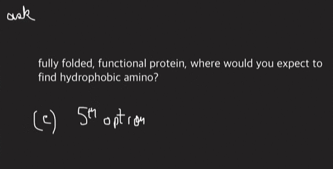 part-a-fully-folded-functional-protein-where-would-you-expect-to-find-hydrophobic-amino-on-the-exterior-surface-of-the-protein-interacting-with-water-in-the-interior-of-the-folded-protein-aw-27056