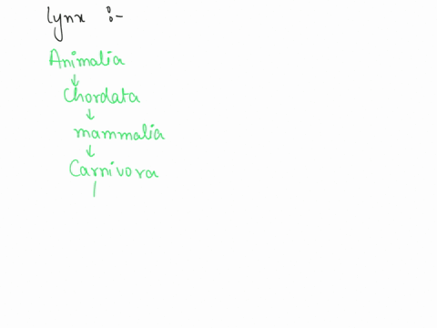 question-4-pts-identify-the-indicated-in-bold-taxonomic-level-from-the-following-example-eukaryote-animalia-chordata-mammalia-carnivora-felidae-felis-catus-class-domain-genus-kingdom-04795