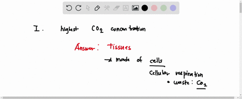 question-17-co2-concentrations-are-highest-in-the-lungs-blood-tissues-alr-in-the-air-passages-of-the-lung-equal-in-all-parts-of-the-body-question-18-the-lung-is-located-in-which-cavity-of-th-91275