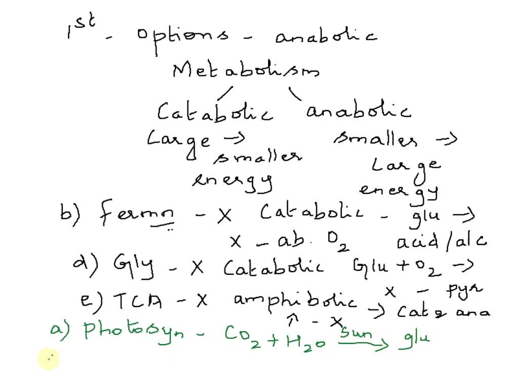 Which Of The Following Is An Anabolic Reaction SOLVED: Which of the following reactions can be considered anabolic