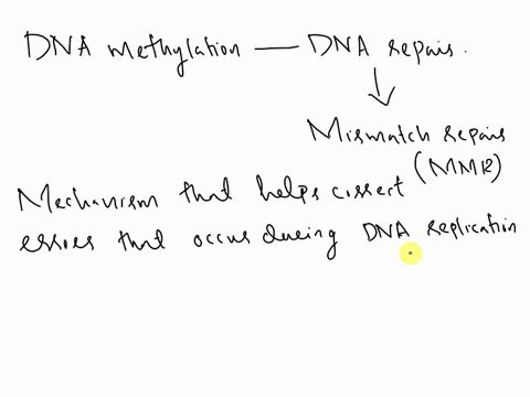 how-is-dna-methylation-used-in-dna-repair-00465