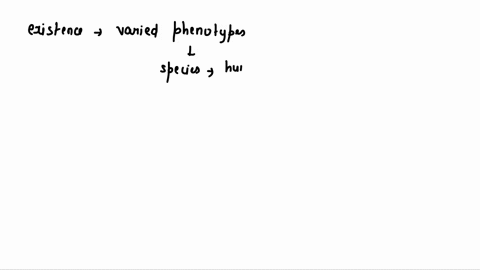 why-are-there-so-many-varied-phenotypes-within-a-species-such-as-humans-80737