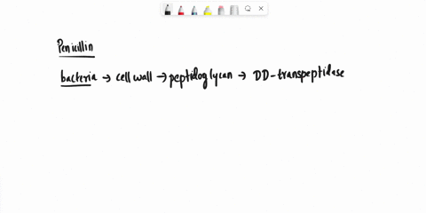 what-is-the-mechanism-of-action-of-penicillin-how-does-it-kill-certain-types-of-bacteria-and-why-not-other-types-31556
