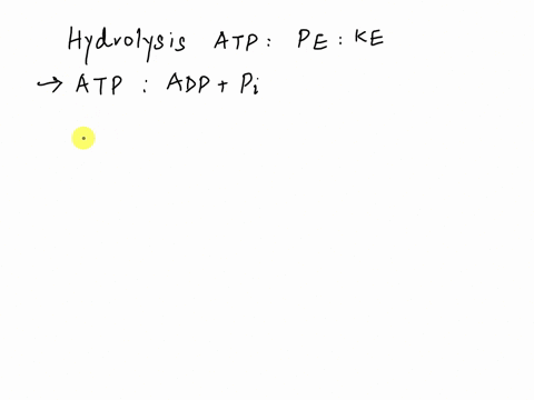 explain-how-the-hydrolysis-of-atp-can-convert-potential-energy-into-kinetic-energy-46913