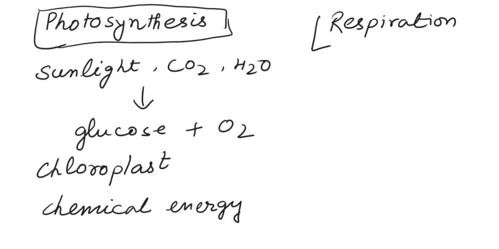 SOLVED Do plants carry out the processes of photosynthesis, cellular