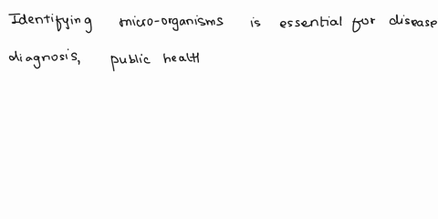 1-the-importance-and-the-benefits-of-identifying-microorganisms-2-highlight-one-rapid-method-and-one-automated-equipment-currently-used-in-identifying-unknown-microbes-22943