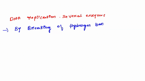 true-or-false-1-during-dna-replication-identical-copies-are-made-of-both-dna-strands-2-the-translation-requires-the-action-of-the-primase-3-all-rnas-produced-in-transcription-are-translated-90805